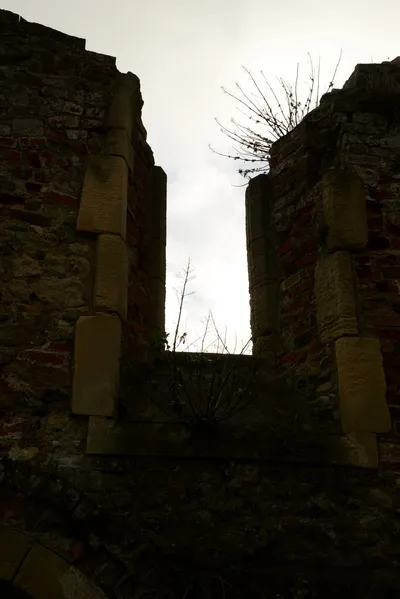 DSC_1334 (Large).JPG